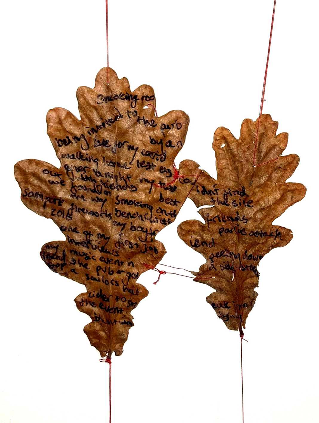 Dérive series - writings on leaves