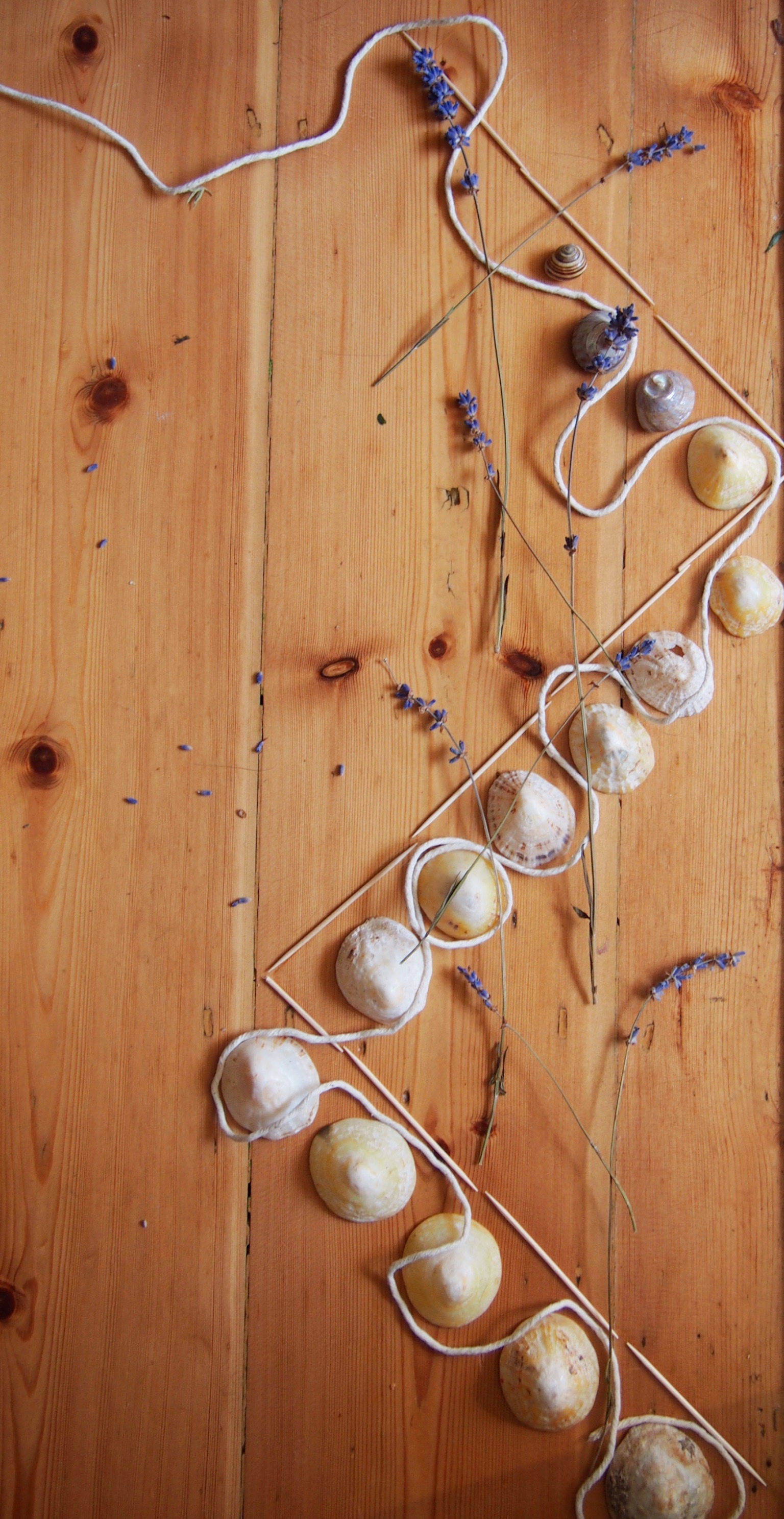 Geometry and Decolonisation series - shelves, flowers, thread